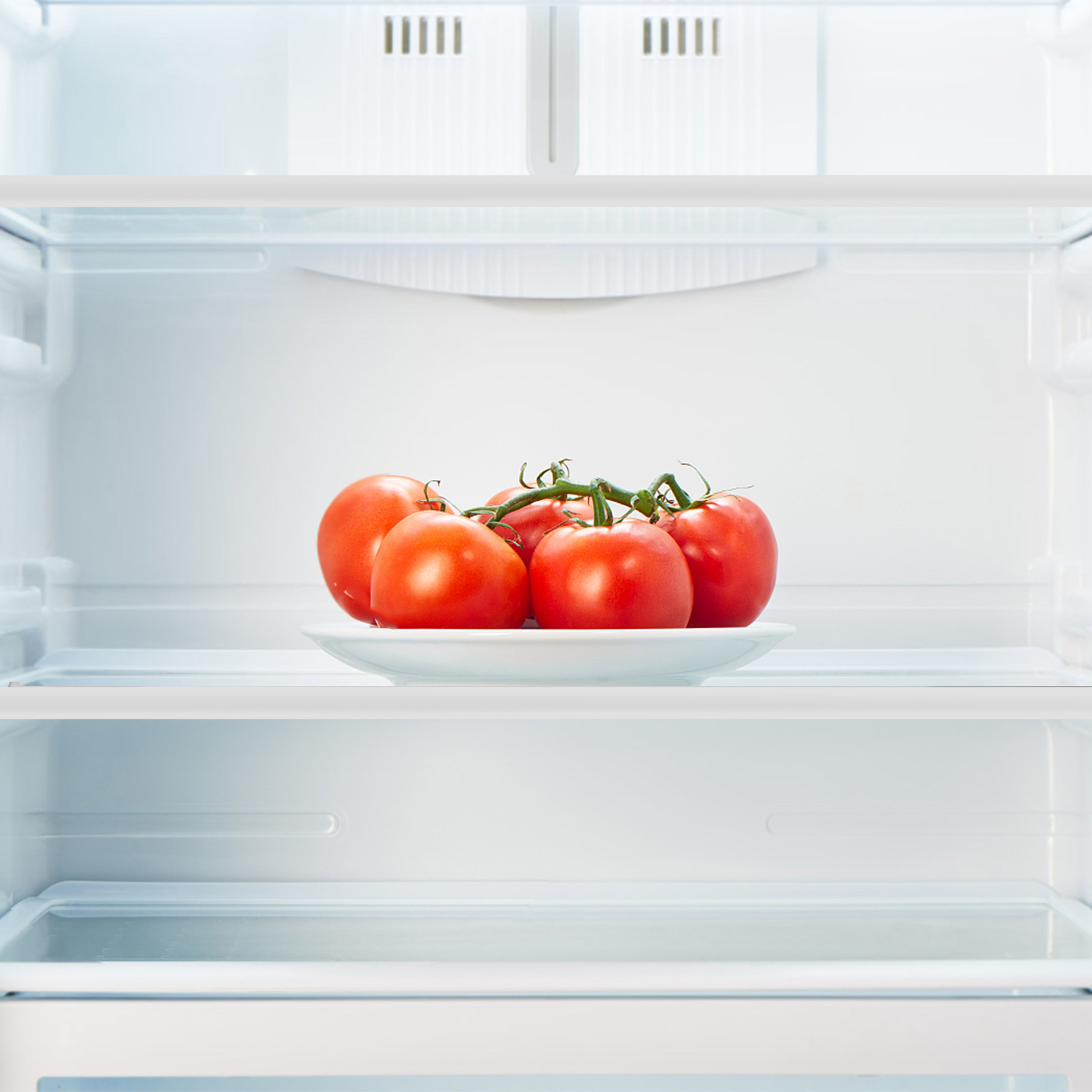 Divisorio per Frigorifero in V - Food Storage Dividers recensione e prezzo