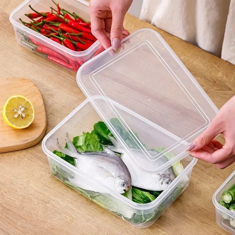 Contenitore per frigorifero pe - Food Storage Vegetables recensione e prezzo