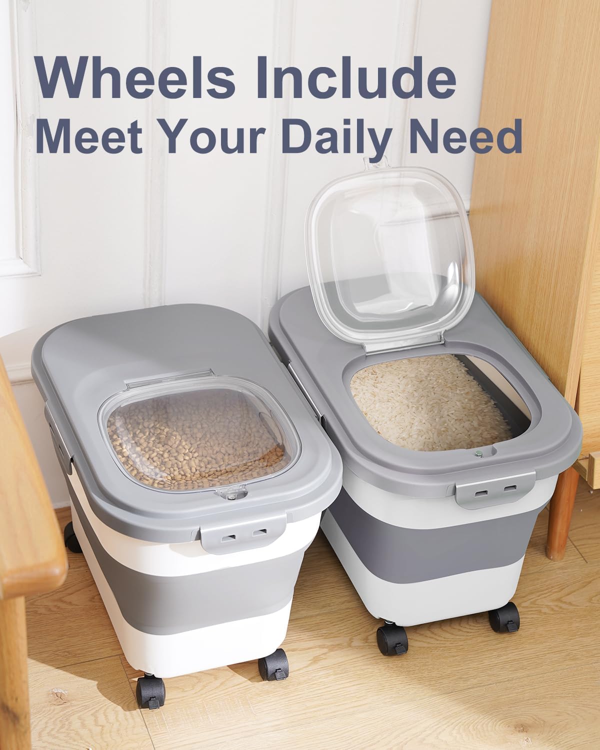 Contenitore per alimenti per c - Food Storage Containers Xl recensione e prezzo