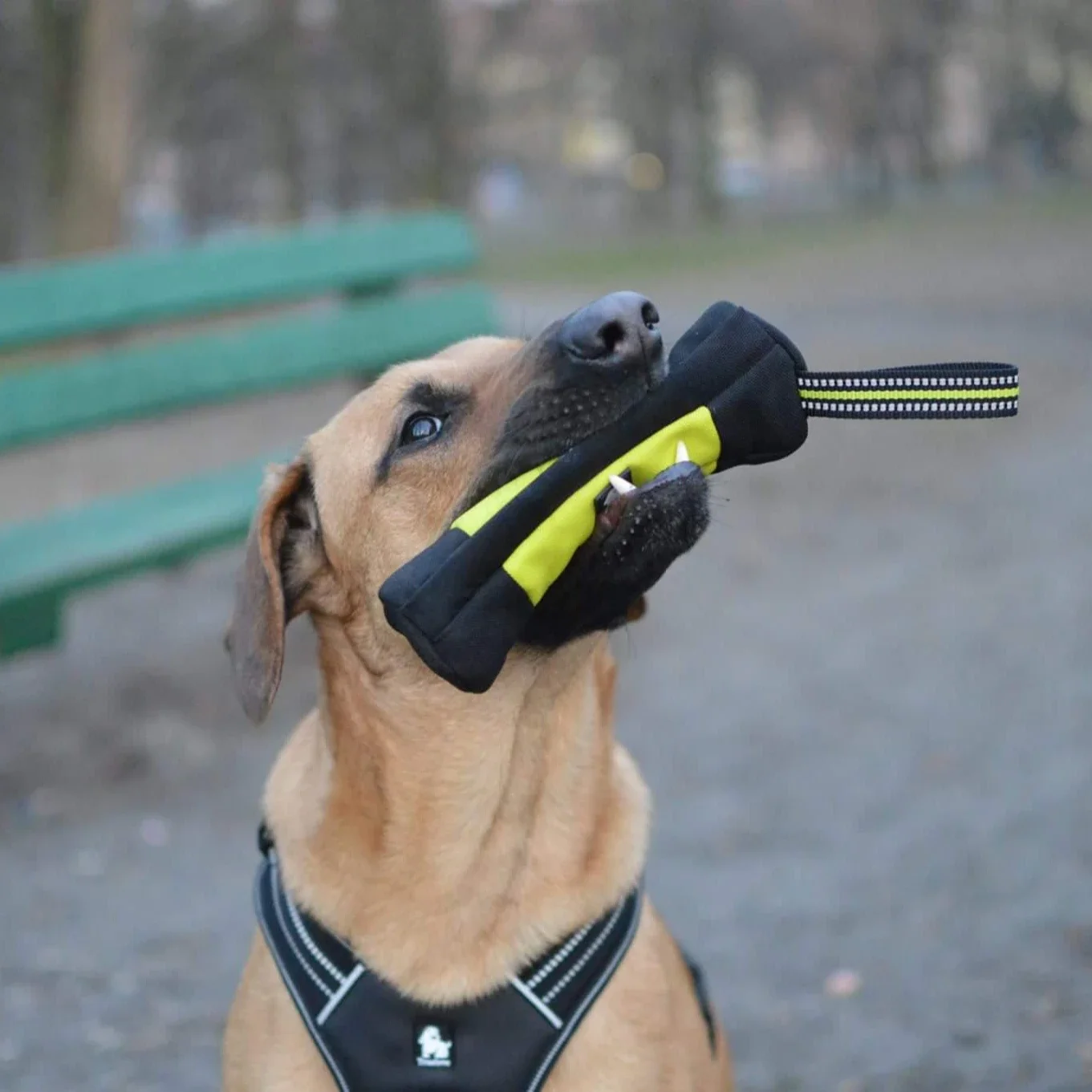 Truelove Dog Training Retrieve - Food Storage Zipper Bags recensione e prezzo