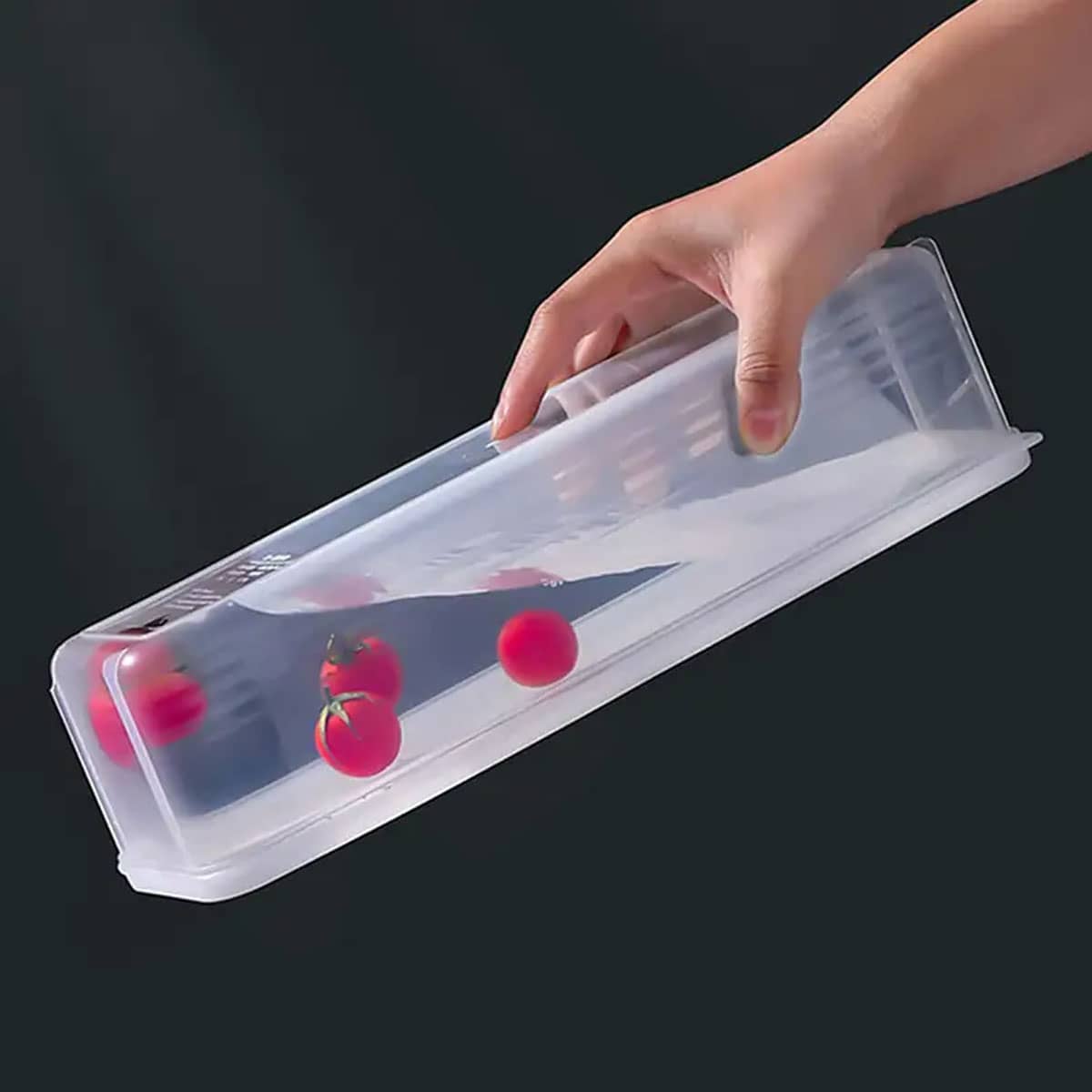 1 scatola portaoggetti in plas - Food Storage Underground recensione e prezzo